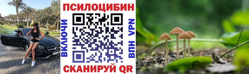 Псилоцибиновые грибы Psilocybe  наркотики  OMG маркетплейс  Дальнереченск 